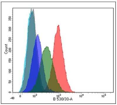 Flow Cytometry: PLA2R1 Antibody (12-6-5) - BSA Free [NBP2-50248]