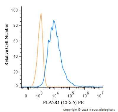 Flow Cytometry: PLA2R1 Antibody (12-6-5) - BSA Free [NBP2-50248]