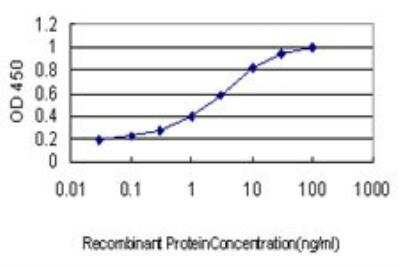 Determination of Detection Limit for PLAG1 Antibody as Capture Antibody in ELISA