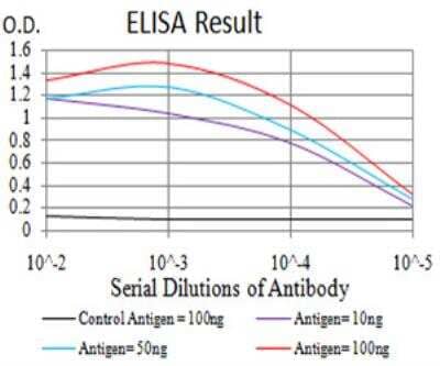 ELISA: PLC-gamma 1 Antibody (3C2D11) - BSA Free [NBP2-52532]