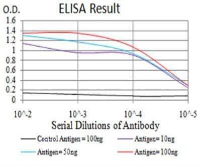 ELISA: PLC-gamma 1 Antibody (3H1C10) - BSA Free [NBP2-52533]