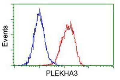 Flow Cytometry: PLEKHA3 Antibody (OTI5D11) - Azide and BSA Free [NBP2-73470]