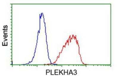 Flow Cytometry: PLEKHA3 Antibody (OTI5D11) - Azide and BSA Free [NBP2-73470]