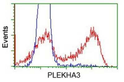 Flow Cytometry: PLEKHA3 Antibody (OTI5D11) - Azide and BSA Free [NBP2-73470]