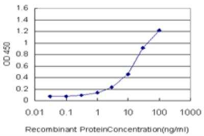 ELISA: PLGLB2 Antibody (3E6) [H00005342-M04]