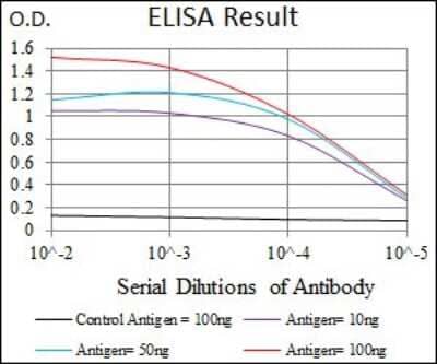 ELISA: PLK1 Antibody (3C11) - BSA Free [NBP2-22196]