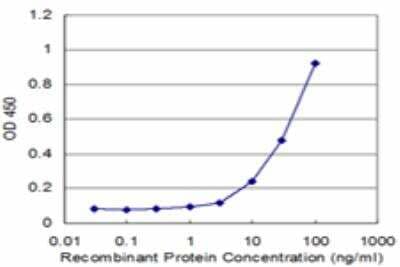 ELISA: PLS1 Antibody (3G10) [H00005357-M04]