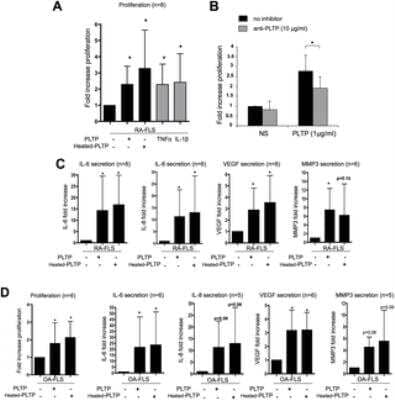 Immunohistochemistry: PLTP Antibody [NB400-106]