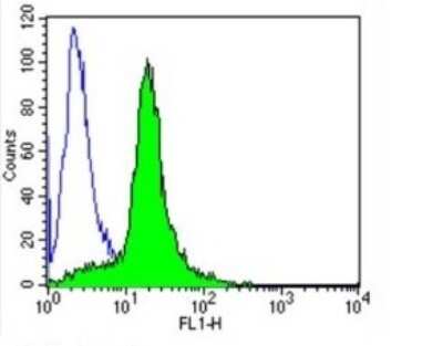 Flow Cytometry: PMCA1 Antibody (5F10) [NB300-578]