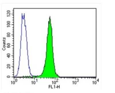 Flow Cytometry: PMCA1 Antibody (5F10) [NB300-578]