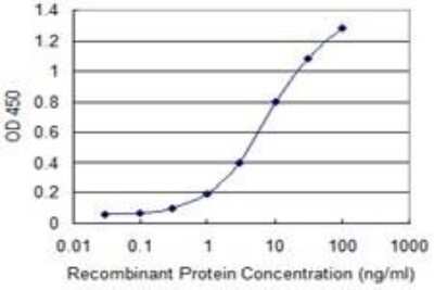 ELISA: PMM2/Phosphomannomutase 2 Antibody (2E9) [H00005373-M01]