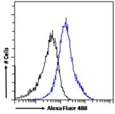 Flow Cytometry: PMP70 Antibody [NBP1-20871]