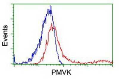 Flow Cytometry: PMVK/phosphomevalonate kinase Antibody (OTI2F9) [NBP2-01157]