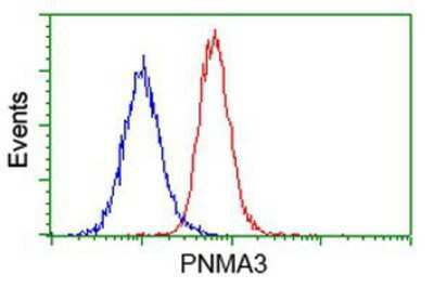 Flow Cytometry: PNMA3 Antibody (OTI1C3) [NBP2-03547]