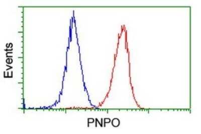 Flow Cytometry: PNPO Antibody (OTI1G9) - Azide and BSA Free [NBP2-73509]