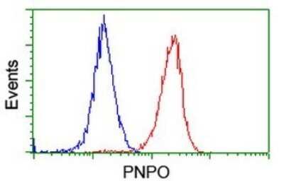 Flow Cytometry: PNPO Antibody (OTI1G9) [NBP2-45361]