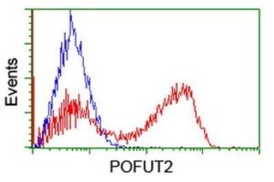 Flow Cytometry: POFUT2 Antibody (OTI3A12) [NBP2-45363]