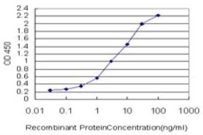 ELISA: POLD3 Antibody (3E2) [H00010714-M01]