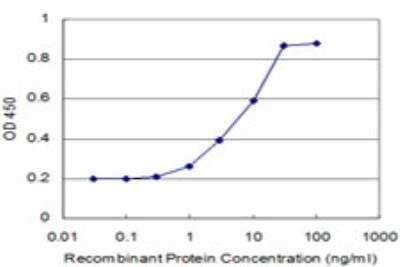 ELISA: POLD4 Antibody (2C11) [H00057804-M10]