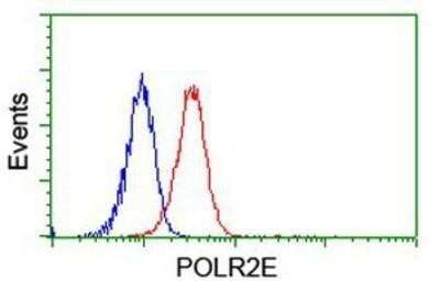 Flow Cytometry: POLR2E Antibody (OTI3B5) - Azide and BSA Free [NBP2-73518]