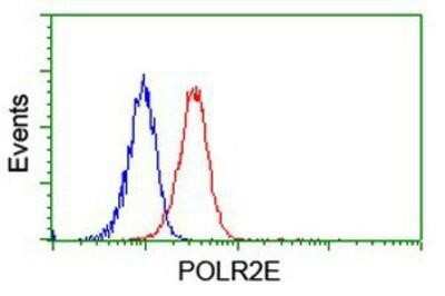 Flow Cytometry: POLR2E Antibody (OTI3B5) [NBP2-00482]