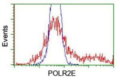 Flow Cytometry: POLR2E Antibody (OTI3B5) [NBP2-00482]