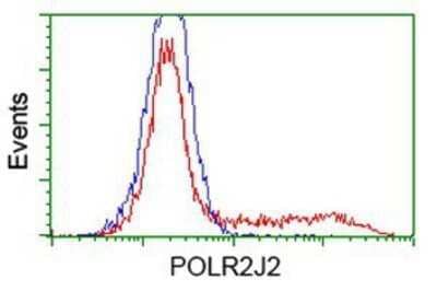 Flow Cytometry: POLR2J2 Antibody (OTI3G4) - Azide and BSA Free [NBP2-73520]