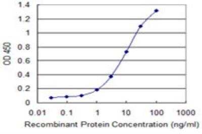 ELISA: POLR3B Antibody (3G10) [H00055703-M01]