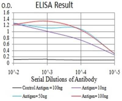 ELISA: POMC Antibody (6D2B5) - BSA Free [NBP2-61793]