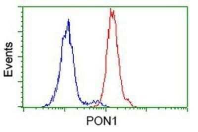 Flow Cytometry: PON1 Antibody (OTI2D4) - Azide and BSA Free [NBP2-73526]