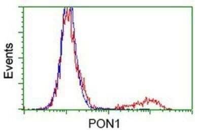 Flow Cytometry: PON1 Antibody (OTI2D4) - Azide and BSA Free [NBP2-73526]