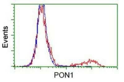 Flow Cytometry: PON1 Antibody (OTI2D4) [NBP2-03706]