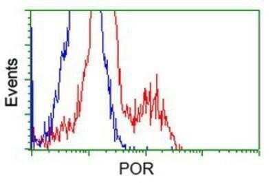Flow Cytometry: POR/Cytochrome P450 Reductase Antibody (OTI3F10) - Azide and BSA Free [NBP2-73539]