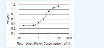 ELISA: POTED Antibody (6D9) [H00317754-M05-100ug]
