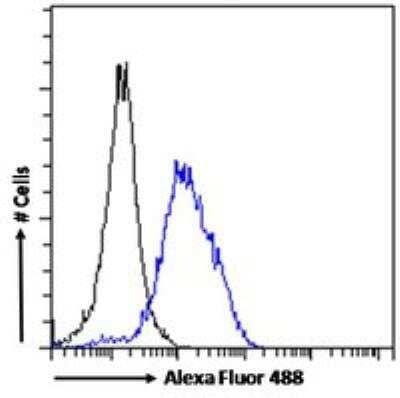 Flow Cytometry: POU3F3 Antibody [NBP1-49872]