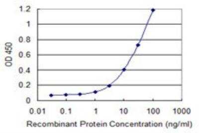 ELISA: PP14/Glycodelin Antibody (6G2) [H00005047-M01]