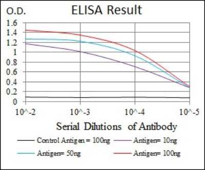 ELISA: PP2C alpha/PPM1A Antibody (7F12) - BSA Free [NBP2-37480]