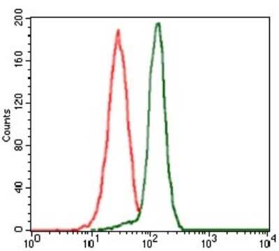 Flow Cytometry: PP2C alpha/PPM1A Antibody (7F12) - BSA Free [NBP2-37480]