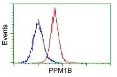 Flow Cytometry: PP2C beta/PPM1B Antibody (OTI3C9) - Azide and BSA Free [NBP2-73548]