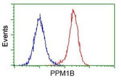Flow Cytometry: PP2C beta/PPM1B Antibody (OTI3F2) - Azide and BSA Free [NBP2-73547]