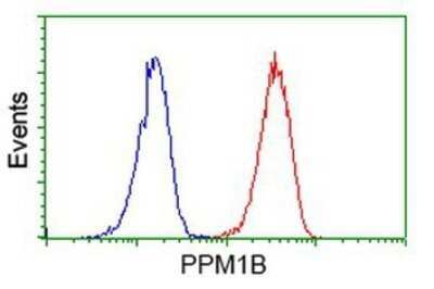 Flow Cytometry: PP2C beta/PPM1B Antibody (OTI3F2) - Azide and BSA Free [NBP2-73547]