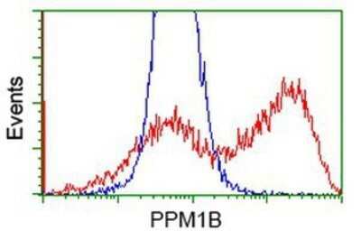 Flow Cytometry: PP2C beta/PPM1B Antibody (OTI3F2) - Azide and BSA Free [NBP2-73547]