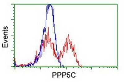 Flow Cytometry: PP5 Antibody (OTI2E12) - Azide and BSA Free [NBP2-73555]