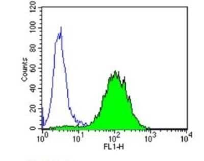 Flow Cytometry: PPAR alpha/NR1C1 Antibody (3B6/PPAR) - BSA Free [NB300-537]