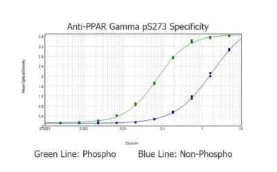 ELISA: PPAR gamma/NR1C3 [p Ser273] Antibody [NBP2-44159]