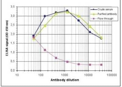 ELISA: PPAR gamma/NR1C3 Antibody [NBP2-59223]