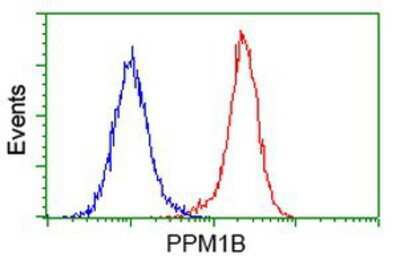 Flow Cytometry: PP2C beta/PPM1B Antibody (OTI3F2) [NBP2-00720]
