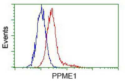 Flow Cytometry: PPME1 Antibody (OTI7F12) [NBP2-02240]