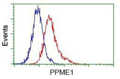 Flow Cytometry: PPME1 Antibody (OTI7F12) [NBP2-02240]