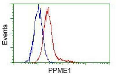 Flow Cytometry: PPME1 Antibody (OTI7F12) - Azide and BSA Free [NBP2-73583]